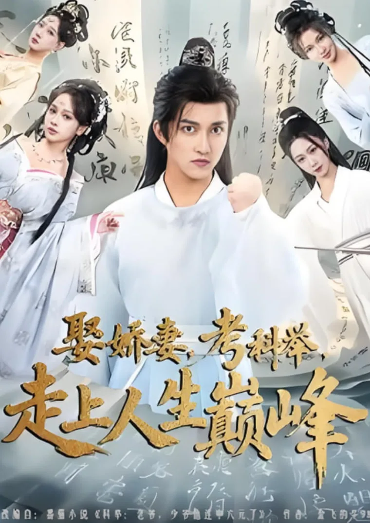 娶娇妻，考科举，走上人生巅峰