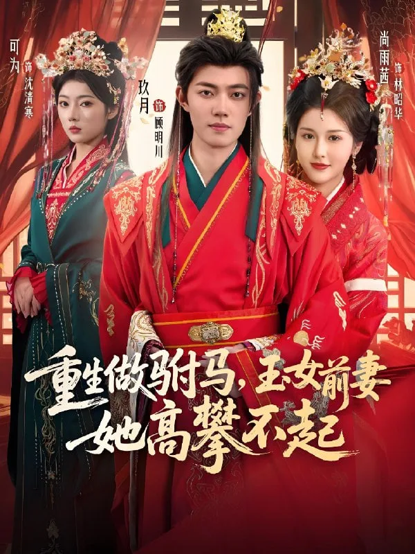 重生做驸马，玉女前妻她高攀不起